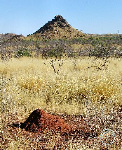Australian Outback 9M86D-07.JPG